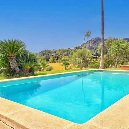 Toni Pau By Pollenca